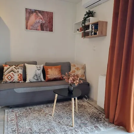 Rudy Zakatek W Centrum Bydgoszczy Apartment