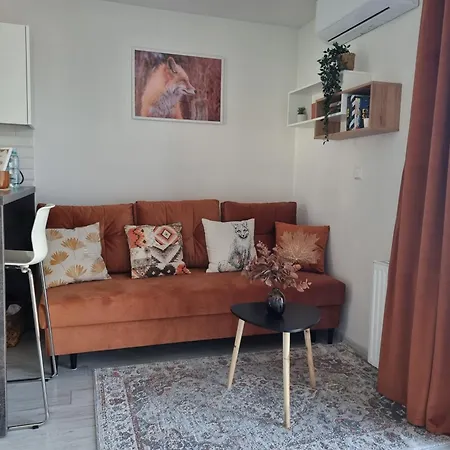 Rudy Zakatek W Centrum Bydgoszczy Apartment Bydgoszcz