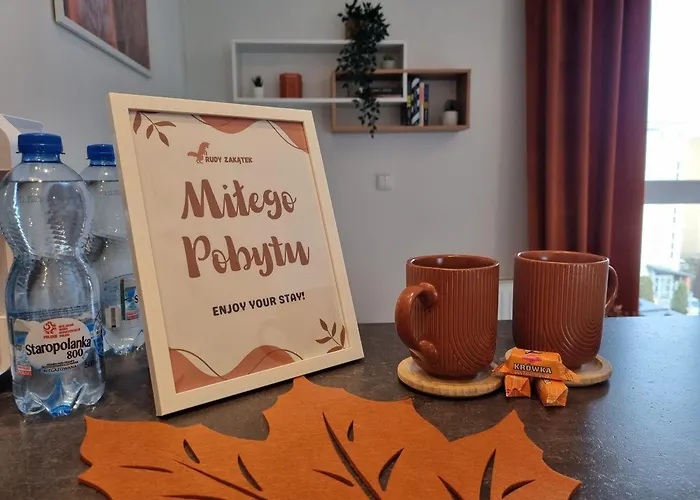 Rudy Zakatek W Centrum Bydgoszczy * Bydgoszcz